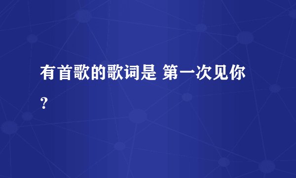有首歌的歌词是 第一次见你？