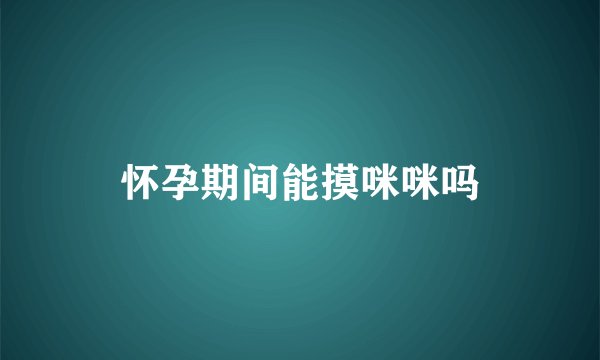 怀孕期间能摸咪咪吗