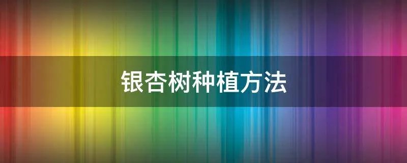 银杏树种植方法