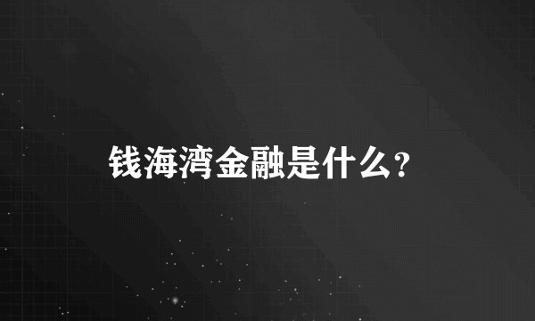 钱海湾金融是什么？