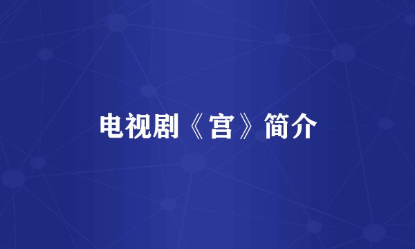 电视剧《宫》简介