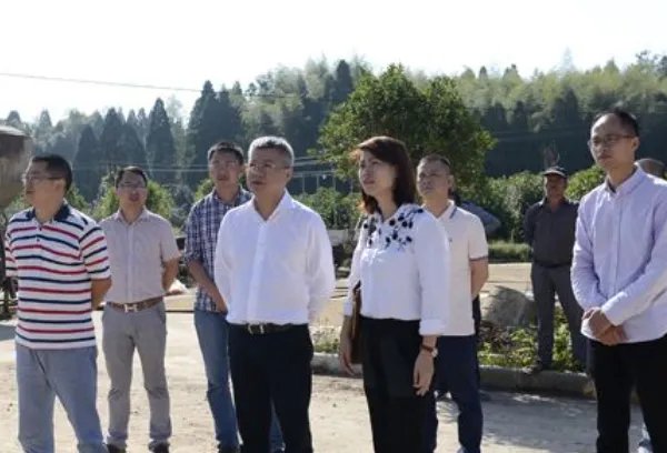 监利县委书记