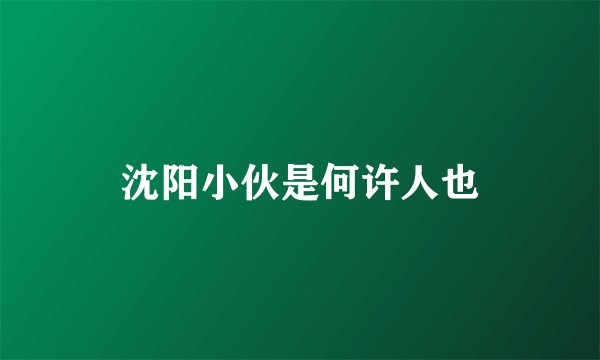 沈阳小伙是何许人也