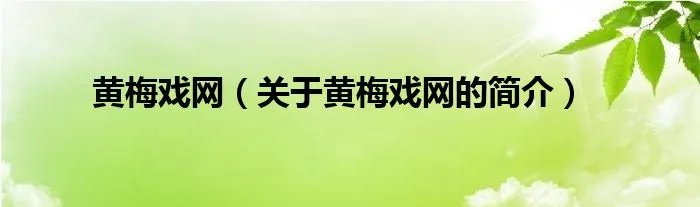 黄梅戏网（关于黄梅戏网的简介）