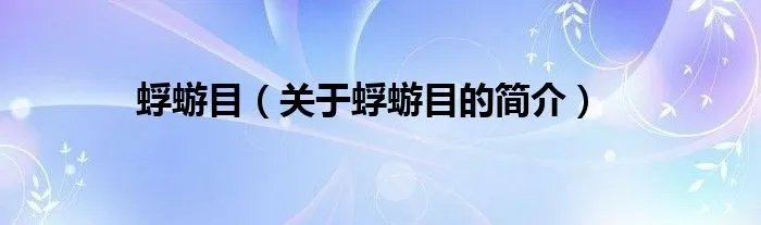 蜉蝣目（关于蜉蝣目的简介）