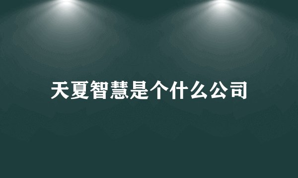 天夏智慧是个什么公司