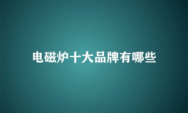 电磁炉十大品牌有哪些
