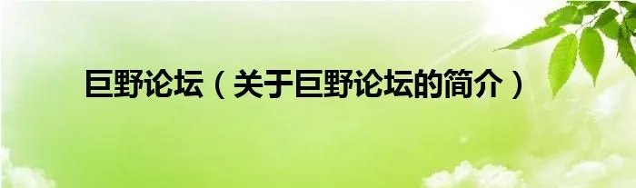 巨野论坛（关于巨野论坛的简介）