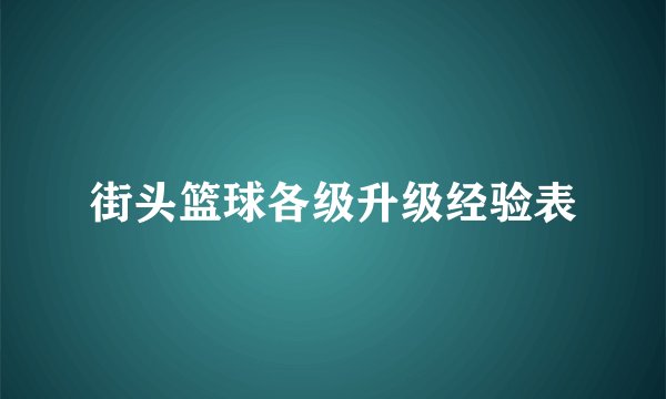 街头篮球各级升级经验表