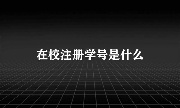 在校注册学号是什么