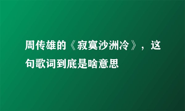 周传雄的《寂寞沙洲冷》，这句歌词到底是啥意思