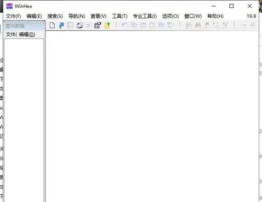 winhex中文版