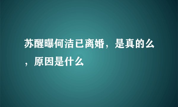 苏醒曝何洁已离婚，是真的么，原因是什么
