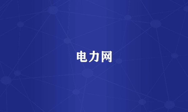 电力网