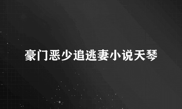 豪门恶少追逃妻小说天琴