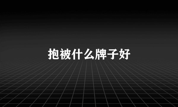 抱被什么牌子好