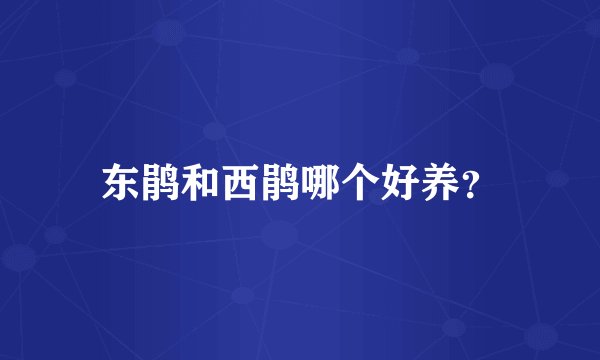 东鹃和西鹃哪个好养?