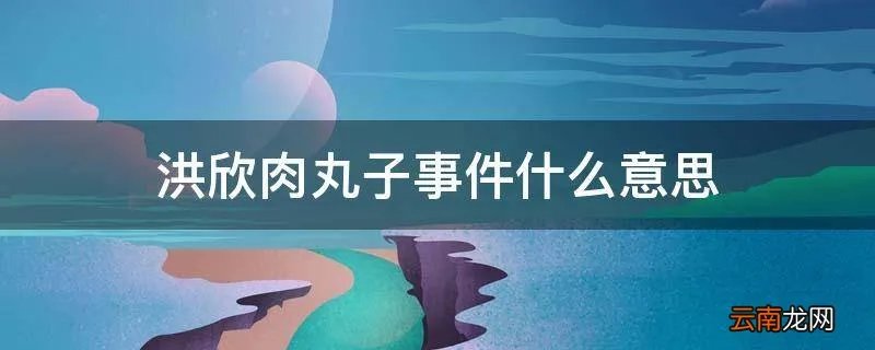洪欣肉丸子事件什么意思