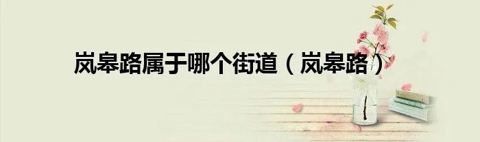 岚皋路属于哪个街道（岚皋路）