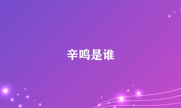 辛鸣是谁