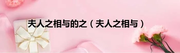 夫人之相与的之（夫人之相与）