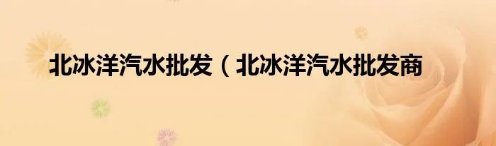 北冰洋汽水批发（北冰洋汽水批发商