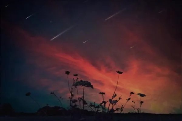 天枰座女和什么星座最配?
