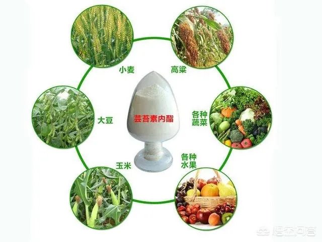 植物防冻剂属于什么类型的农药?