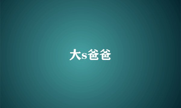 大s爸爸
