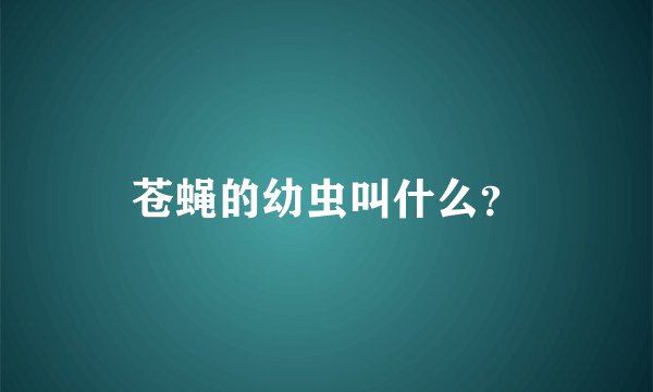 苍蝇的幼虫叫什么?