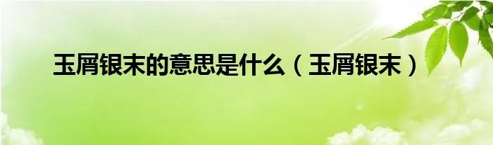 玉屑银末的意思是什么（玉屑银末）