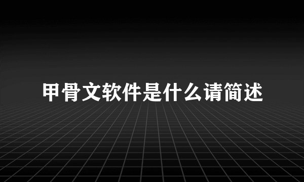 甲骨文软件是什么请简述