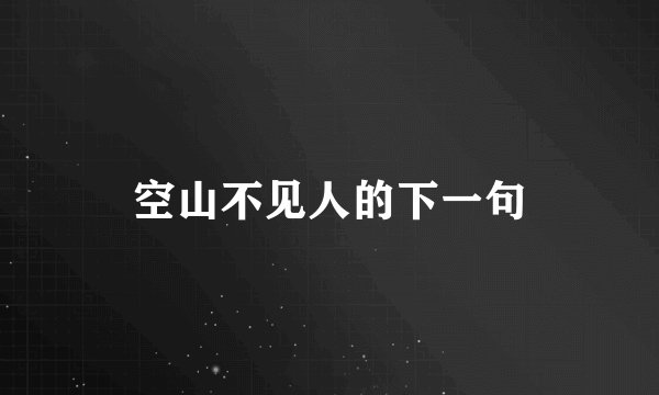 空山不见人的下一句