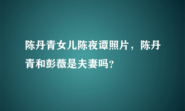 陈丹青女儿陈夜谭照片，陈丹青和彭薇是夫妻吗？
