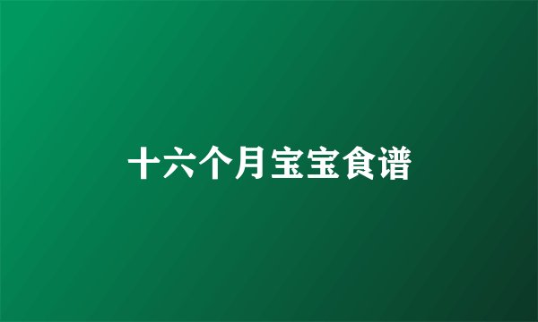十六个月宝宝食谱