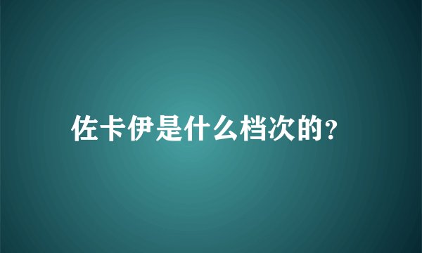 佐卡伊是什么档次的？
