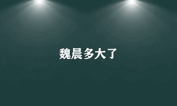 魏晨多大了