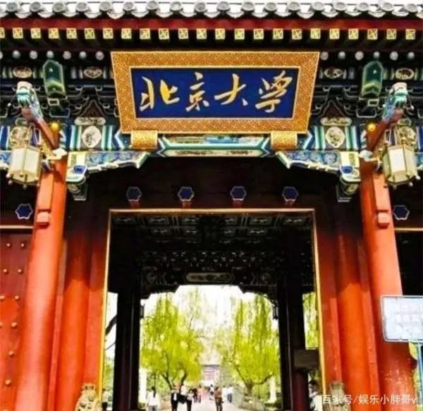 陈凤竹