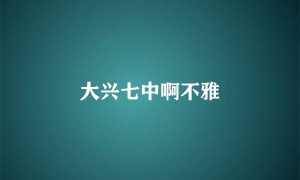 大兴七中啊不雅