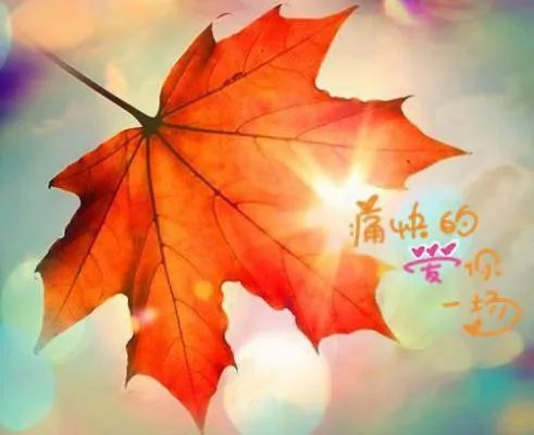 搜索网名