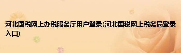 河北国税网上办税服务厅用户登录(河北国税网上税务局登录入口)