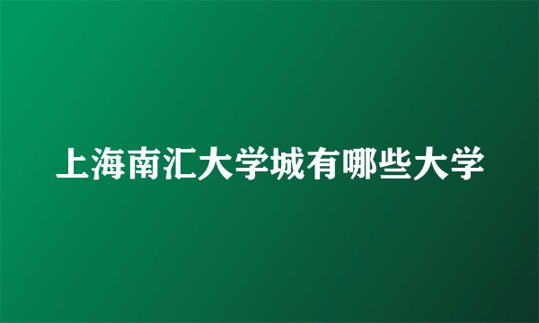 上海南汇大学城有哪些大学