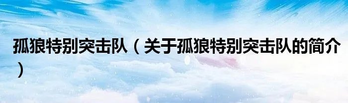孤狼特别突击队（关于孤狼特别突击队的简介）