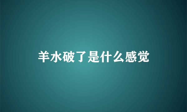 羊水破了是什么感觉