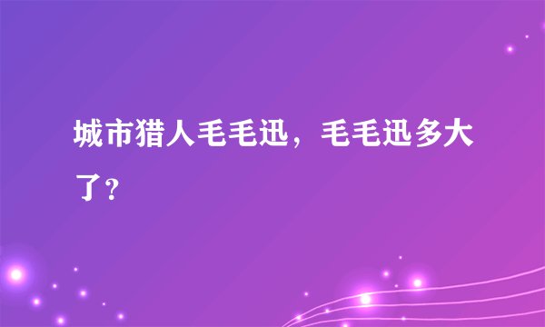城市猎人毛毛迅，毛毛迅多大了？