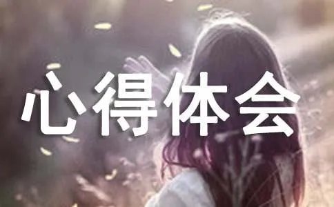 拓展训练心得体会