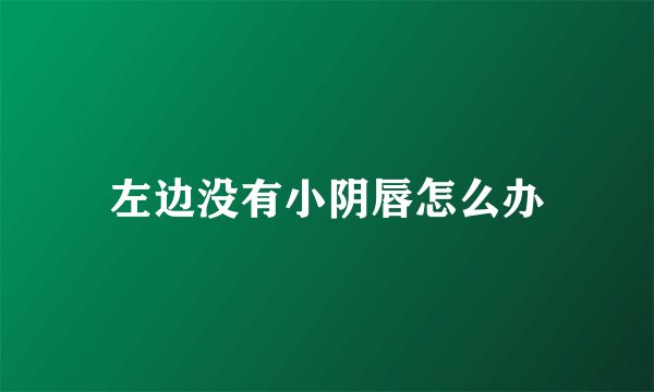 左边没有小阴唇怎么办
