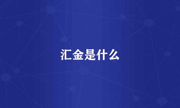 汇金是什么