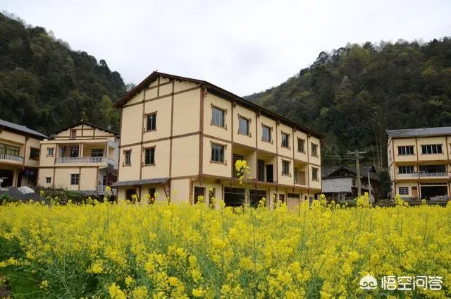 在乡村建设一栋诗意栖居的乡村别墅是否可行?