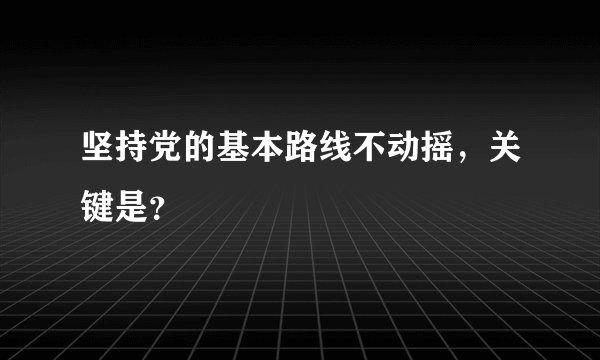 坚持党的基本路线不动摇，关键是？